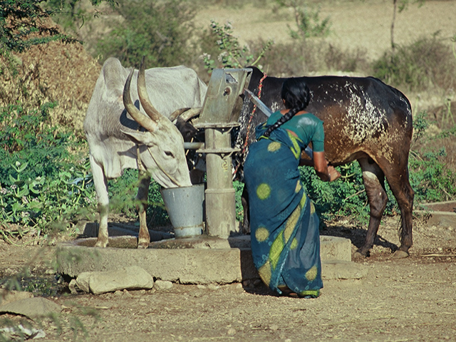 WHAT PEOPLE NEED: water for drinking, cooking, washing, sanitation, crops, livestock, fisheries, gardens, small-scale enterprise