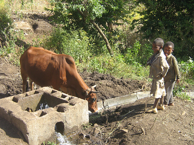 CONSEQUENCES OF A SINGLE-USE SERVICE: illegal connections, destruction of pipes, pumps or canal access; unsafe drinking water; e